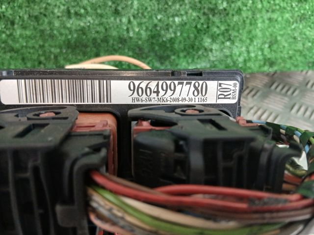 9664997780 Peugeot/Citroen