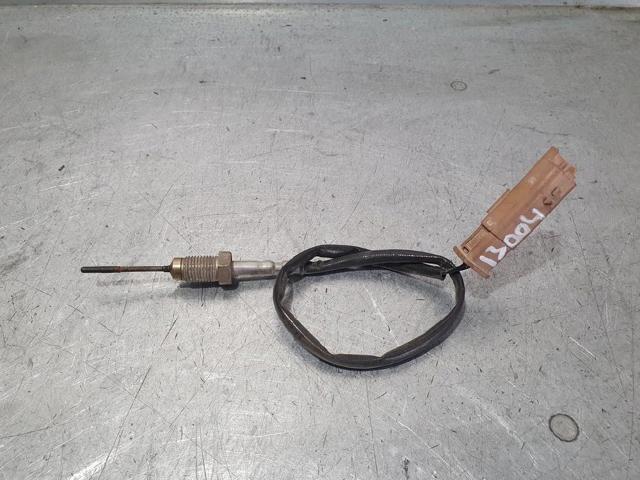 9665090280 Peugeot/Citroen