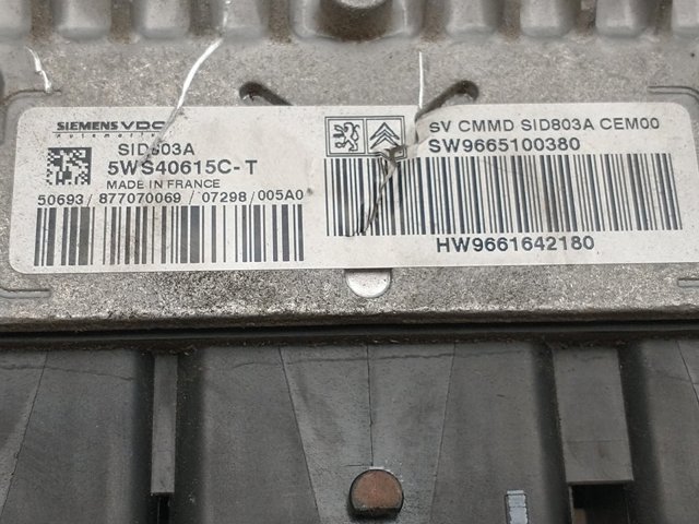 9665100380 Peugeot/Citroen