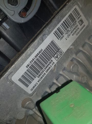 9665100380 Peugeot/Citroen