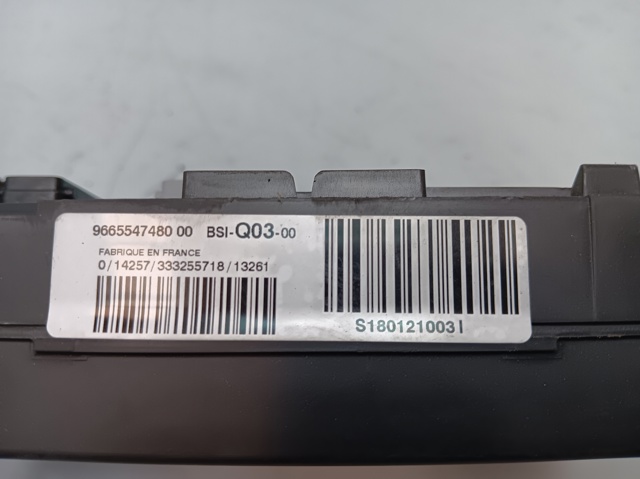9665547480 Peugeot/Citroen