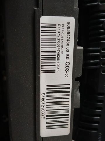 9665547480 Peugeot/Citroen