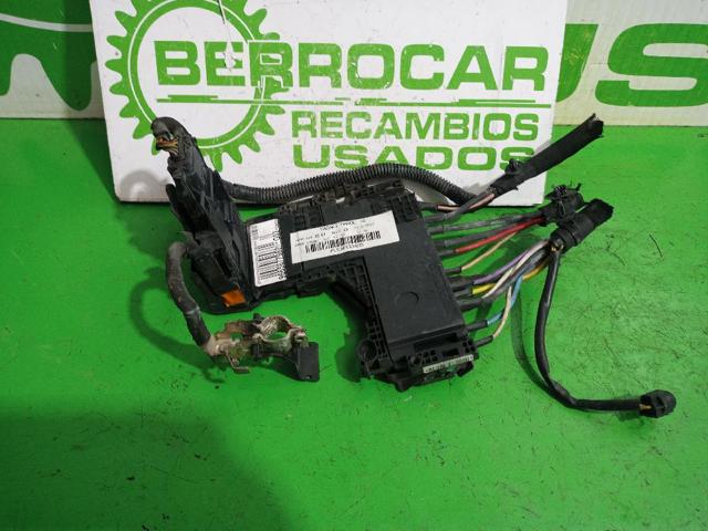 9665877980 Peugeot/Citroen
