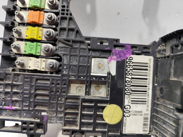 9665878080 Peugeot/Citroen