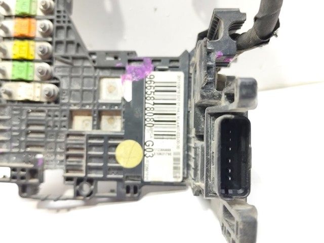 9665878080 Peugeot/Citroen