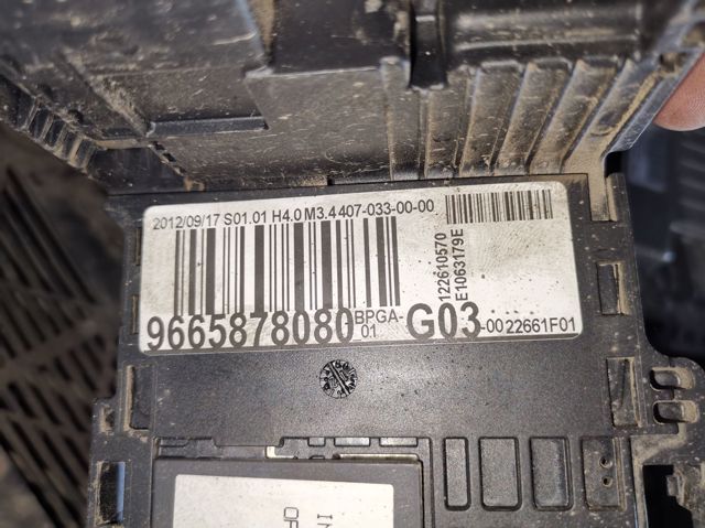 9665878080 Peugeot/Citroen