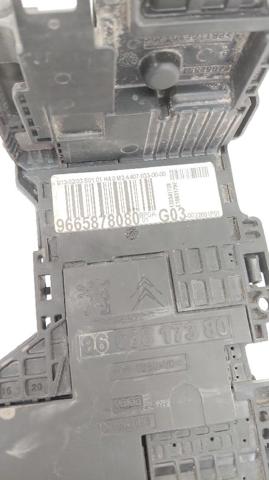 9665878080 Peugeot/Citroen