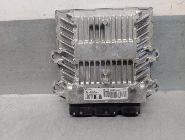 9666095880 Peugeot/Citroen