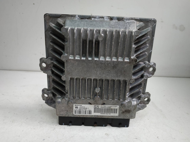 9666095880 Peugeot/Citroen