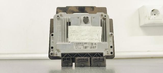 9666235880 Peugeot/Citroen