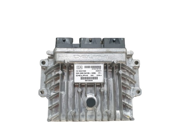 9666375980 Peugeot/Citroen