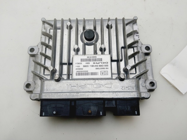 9666375980 Peugeot/Citroen