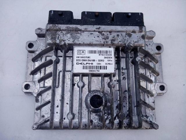 9666375980 Peugeot/Citroen