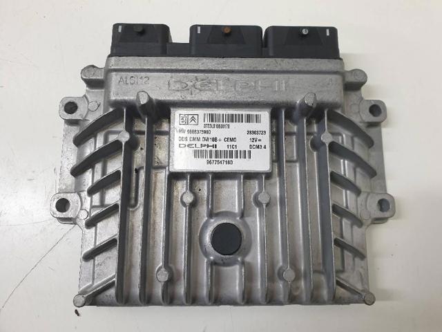 9666375980 Peugeot/Citroen