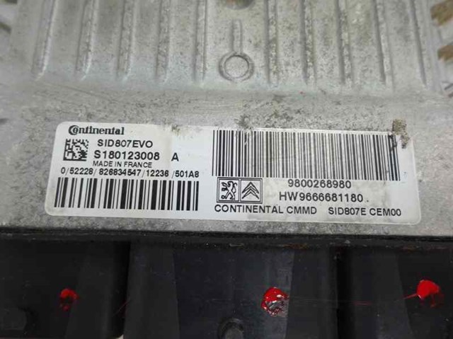 9666681180 Peugeot/Citroen