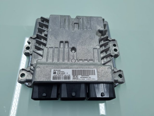 9666681180 Peugeot/Citroen