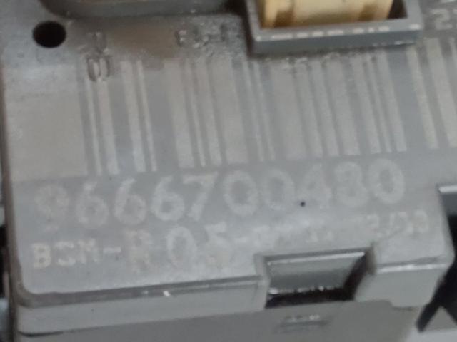 9666700480 PEUGEOT Caja de fusibles  comprar en Oviedo