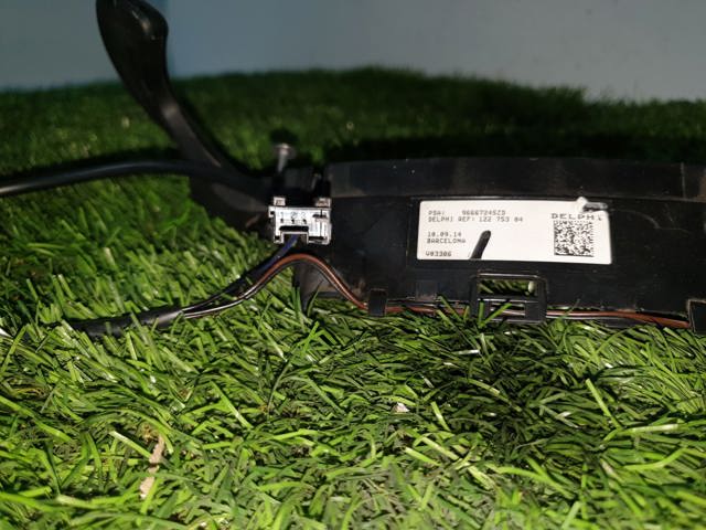 96667245ZD Peugeot/Citroen