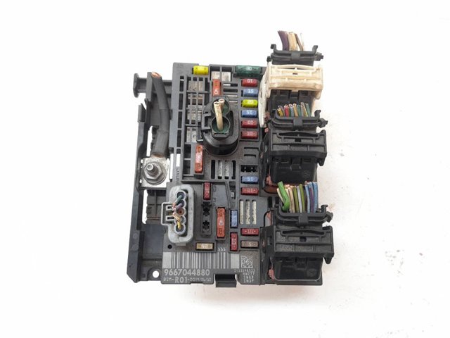 9667044880 Peugeot/Citroen