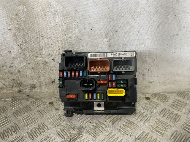 9667199680 Peugeot/Citroen