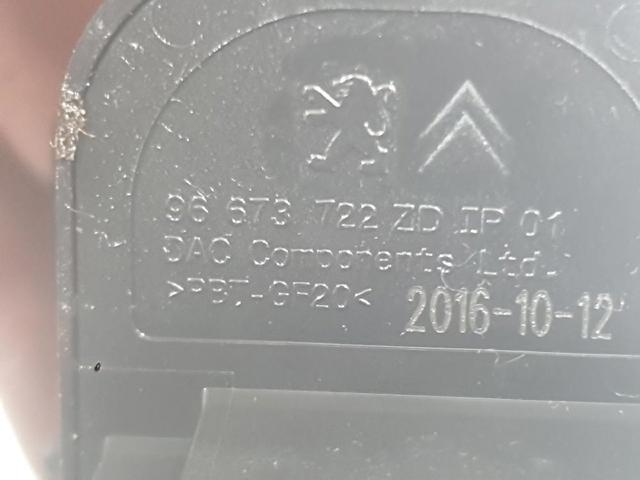 PEUGEOT 96673722ZD Módulo de espejos retrovisores en la puerta  comprar en Albacete