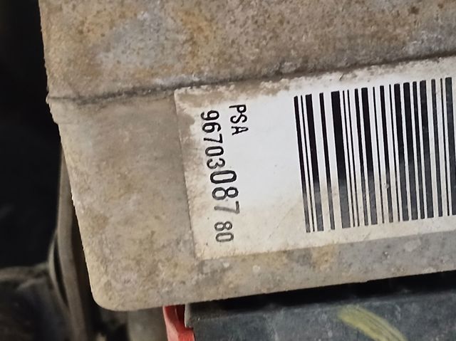 9670308780 Peugeot/Citroen