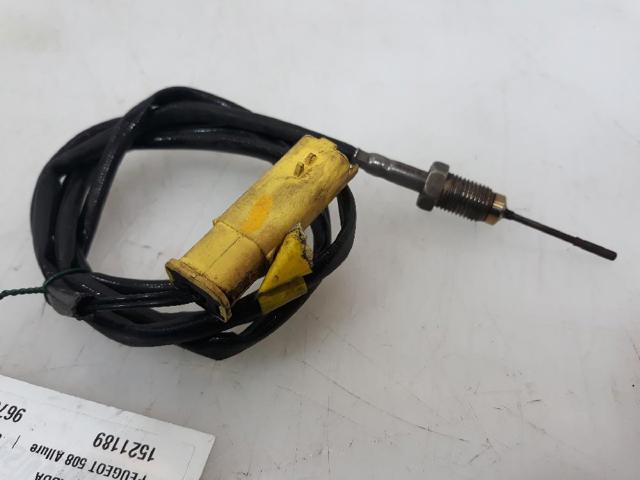 9670381580 Peugeot/Citroen