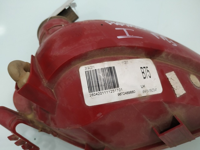 9672489880 Peugeot/Citroen