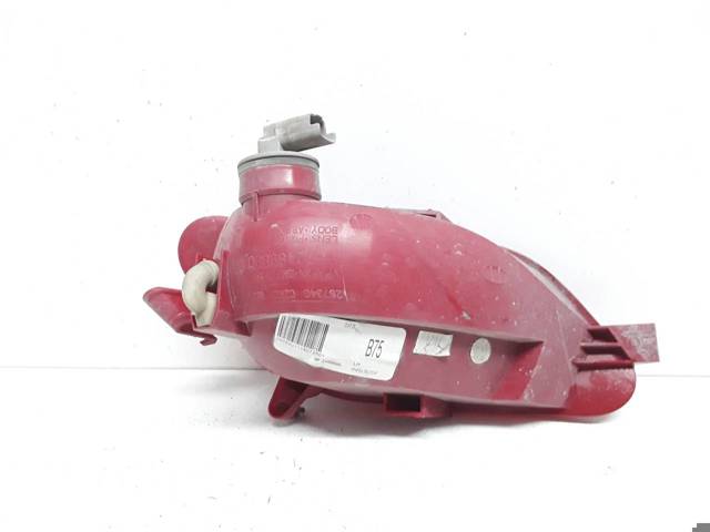 9672489880 Peugeot/Citroen