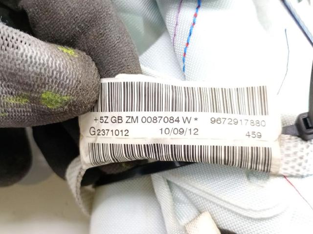 9672917880 Peugeot/Citroen