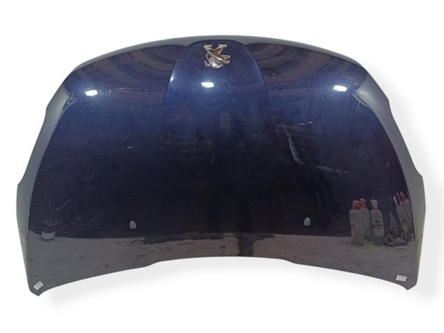 9672998080 Peugeot/Citroen