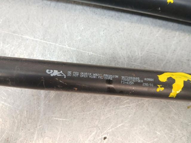 9673083680 PEUGEOT Amortiguador de la tapa del maletero  comprar en Lleida