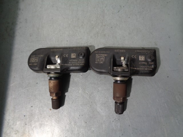 9673198580 Peugeot/Citroen