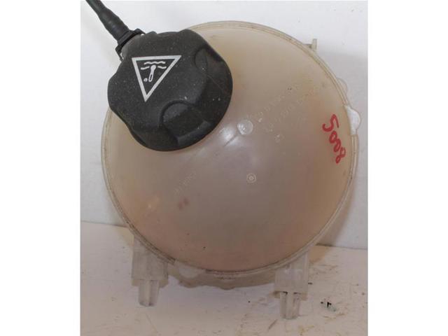 9673334580 Peugeot/Citroen