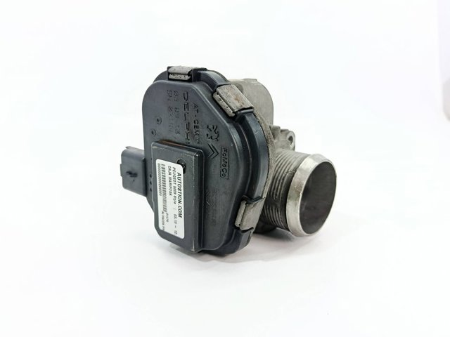 9673534480 Cuerpo de mariposa  en stock Granada