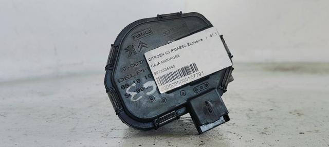 9673534480 Cuerpo de mariposa comprar Girona