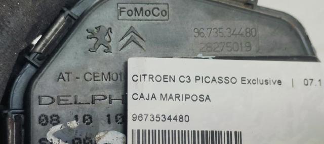 9673534480 Cuerpo de mariposa comprar Almería