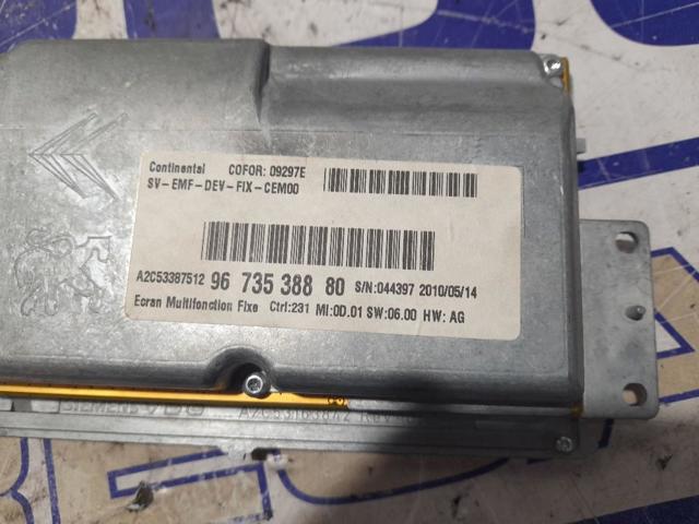9673538880 Peugeot/Citroen