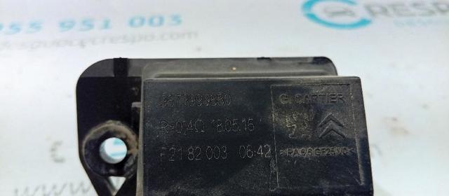 9673999880 Peugeot/Citroen