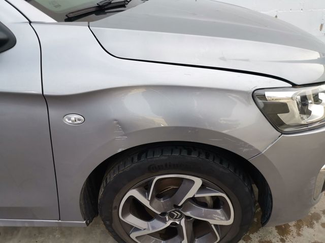 9674790480 Peugeot/Citroen