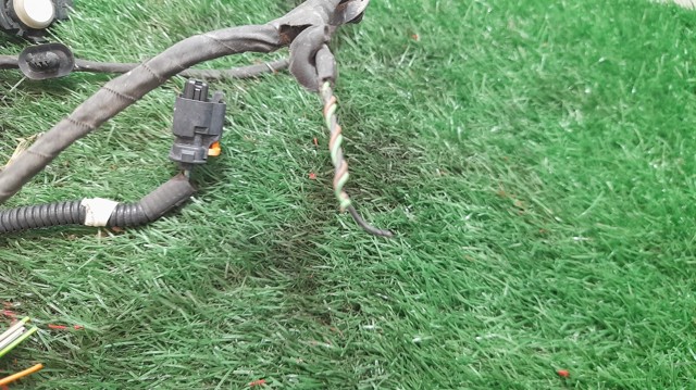9675202477WP PEUGEOT Sensor de estacionamiento delantero  comprar en Jaén