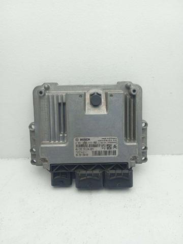 9675495080 Peugeot/Citroen