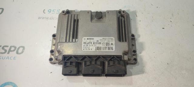 9675495080 Peugeot/Citroen