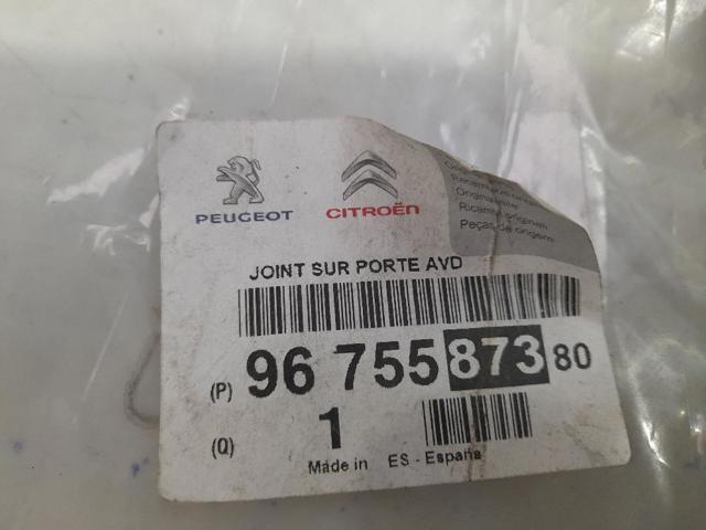 9675587380 Peugeot/Citroen