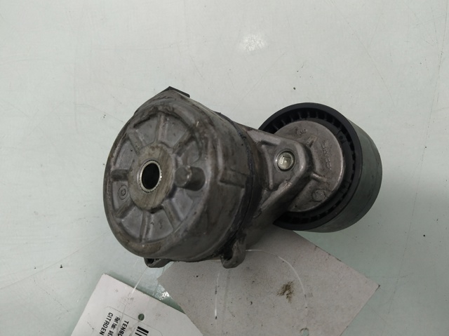 9675874680 Tensor de correa poli V comprar Almería