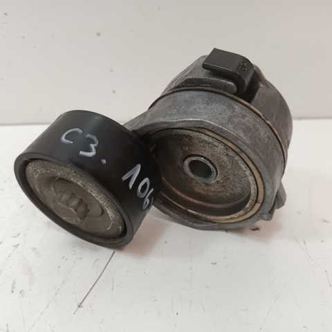 9675874680 PEUGEOT Tensor de correa de accesorios  comprar en Jaén