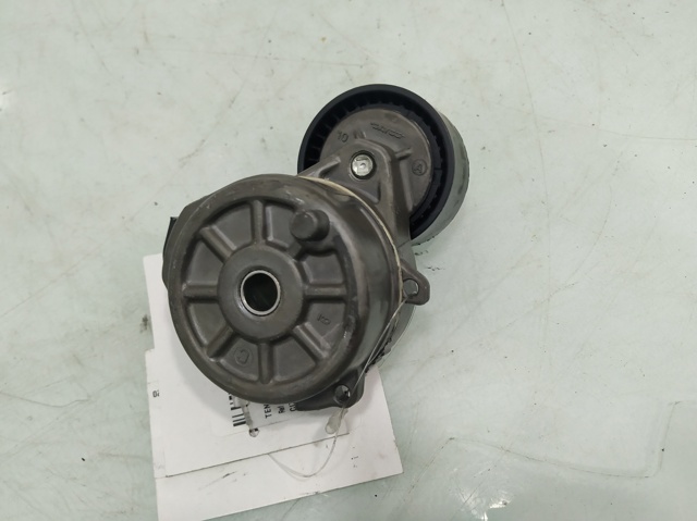 9675874680 PEUGEOT Tensor de correa poli V  en stock Córdoba