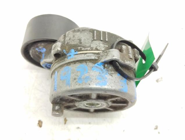 9675874680 PEUGEOT Tensor de correa de alternador comprar Alcalá