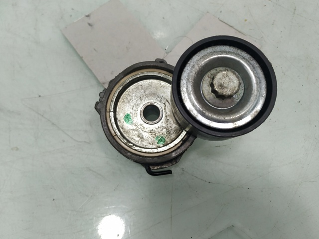 9675874680 Tensor de correa, correa poli V  comprar en Pontevedra
