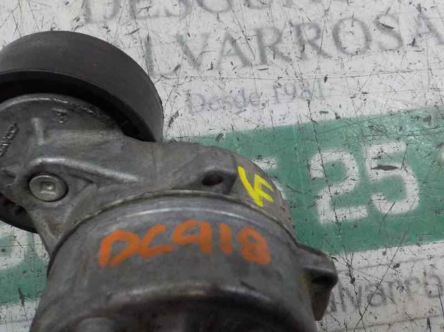 PEUGEOT 9675874680 Tensor de correa, correa poli V  comprar en Ponferrada